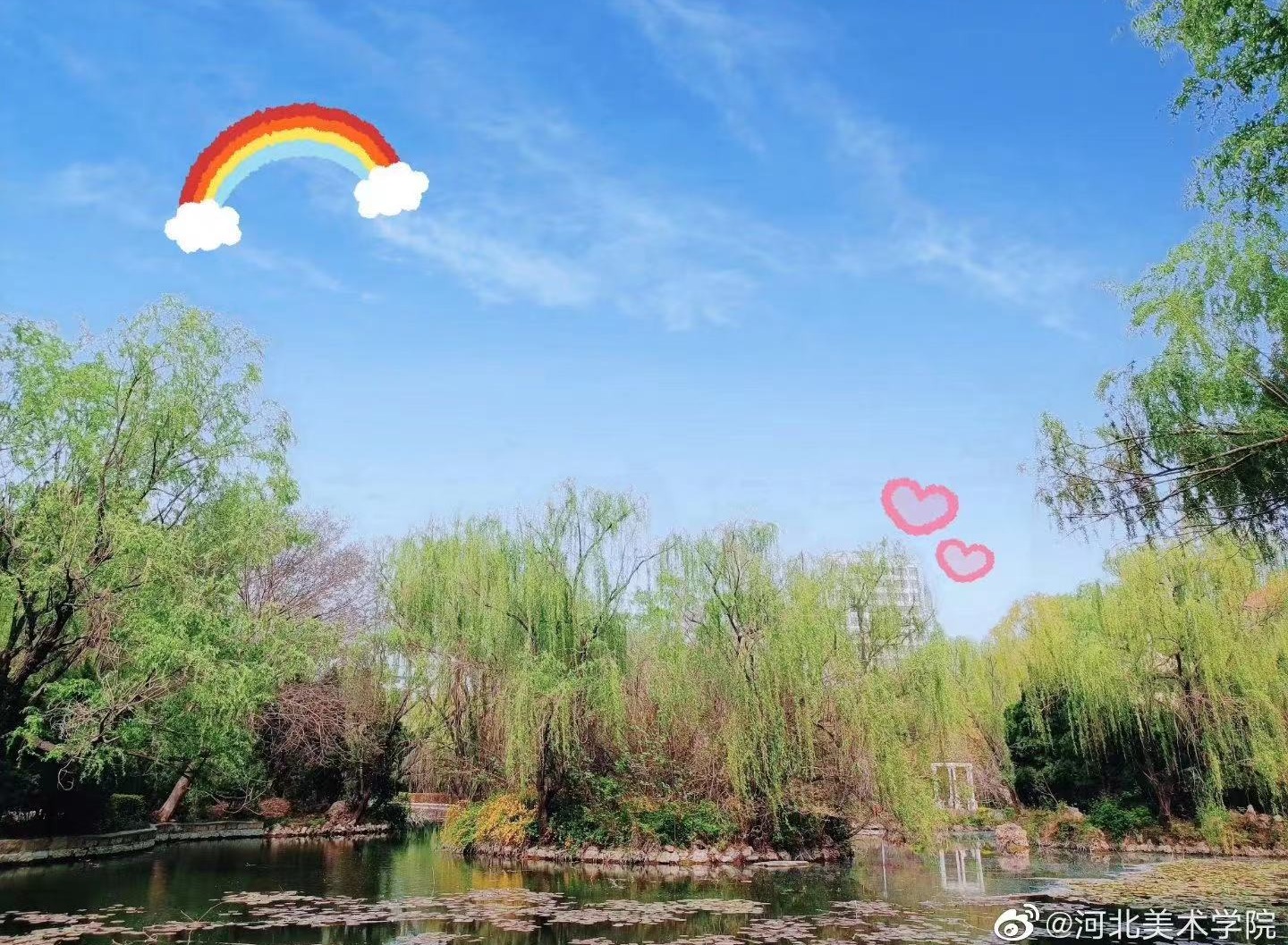 国产精品爽爽久久久久久竹菊