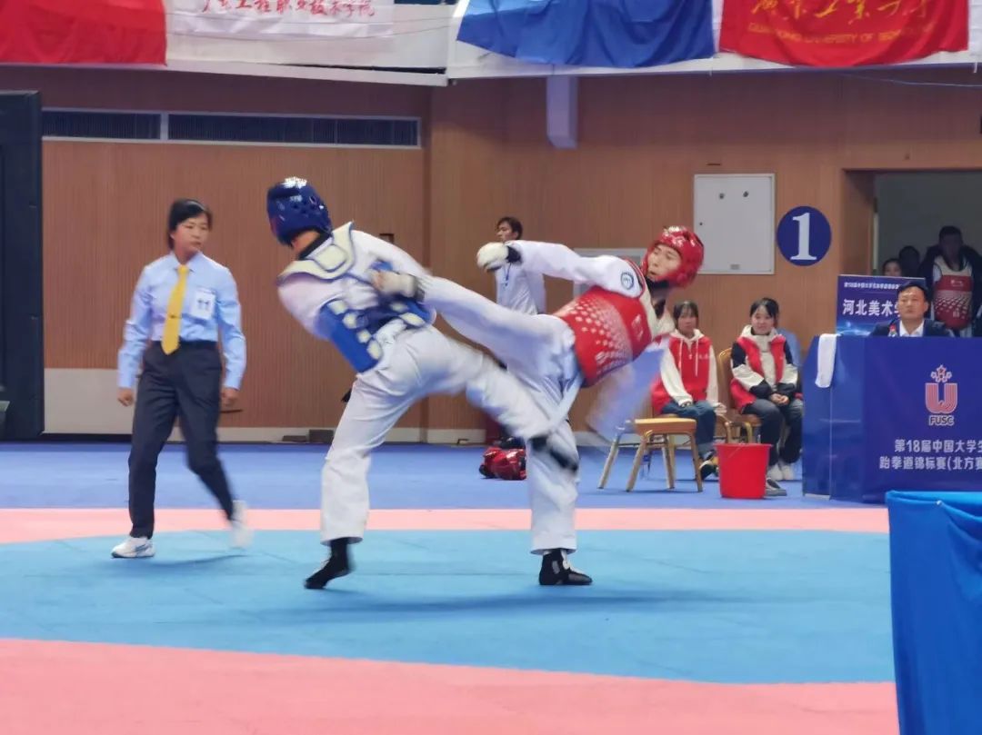 国产精品爽爽久久久久久竹菊