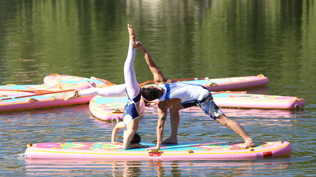 国产精品爽爽久久久久久竹菊