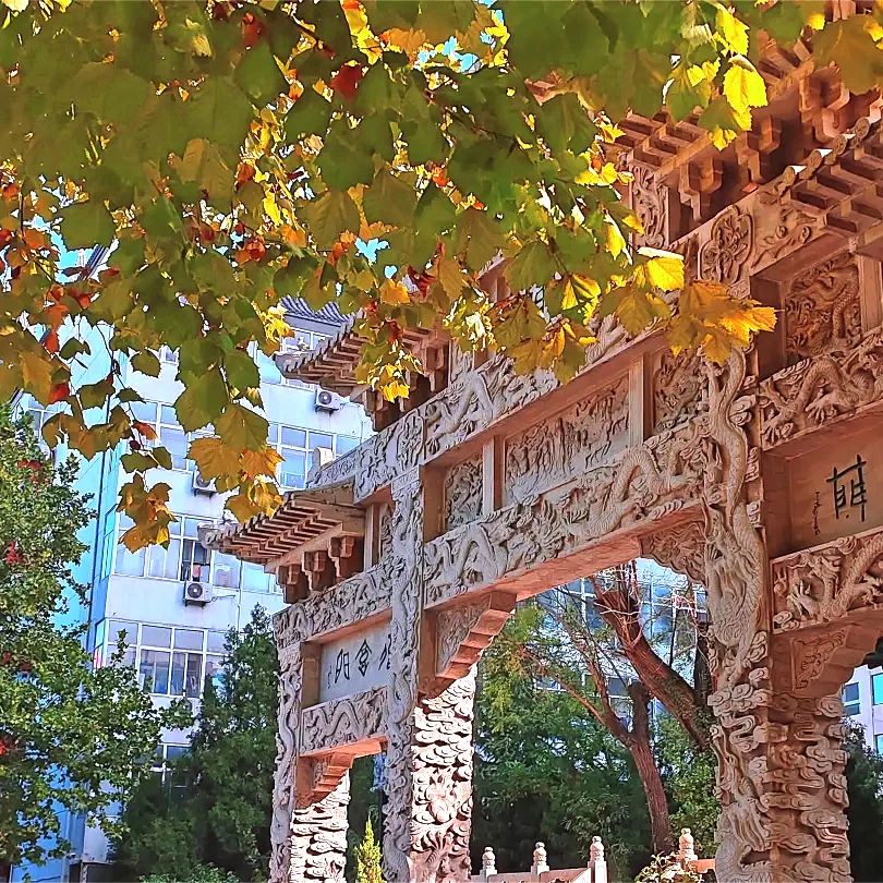 国产精品爽爽久久久久久竹菊