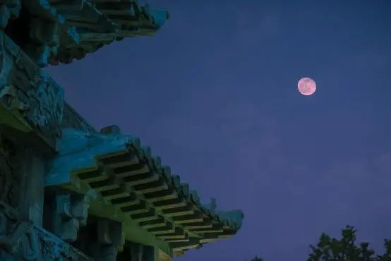 国产精品爽爽久久久久久竹菊