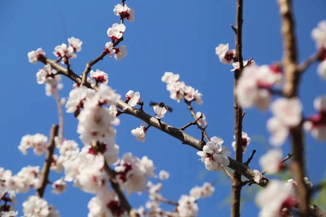 国产精品爽爽久久久久久竹菊