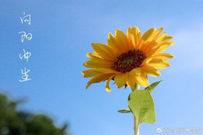 国产精品爽爽久久久久久竹菊