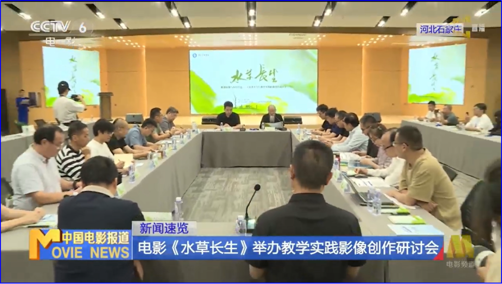 国产精品爽爽久久久久久竹菊