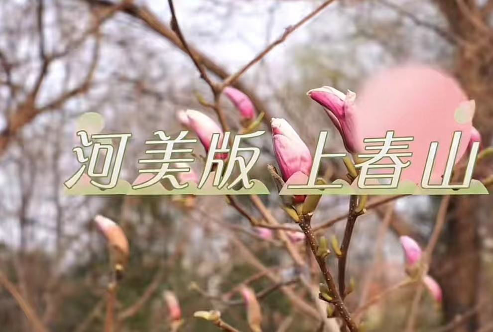 国产精品爽爽久久久久久竹菊