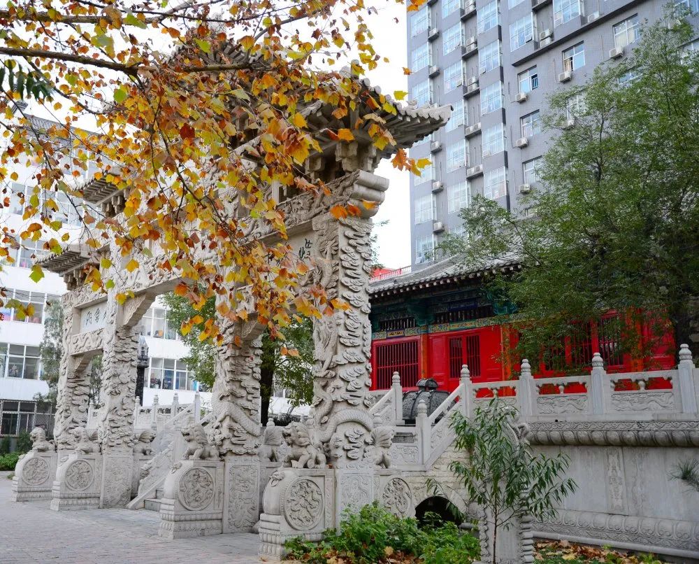 国产精品爽爽久久久久久竹菊