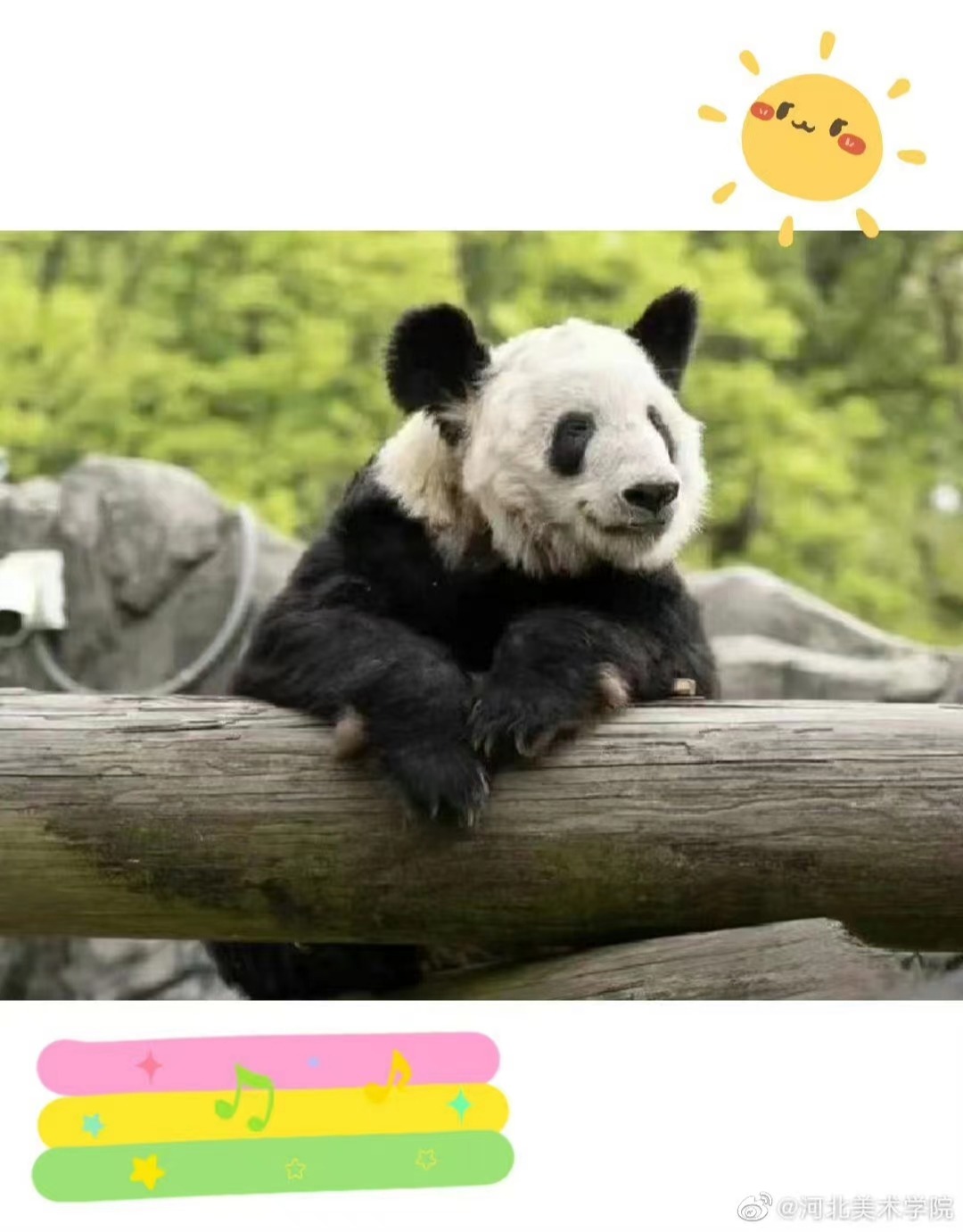 国产精品爽爽久久久久久竹菊