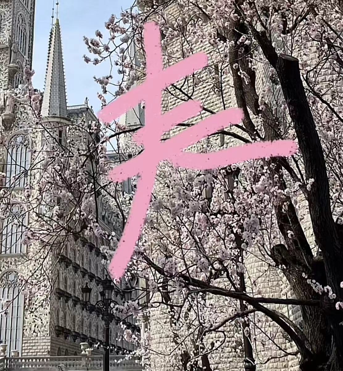 国产精品爽爽久久久久久竹菊