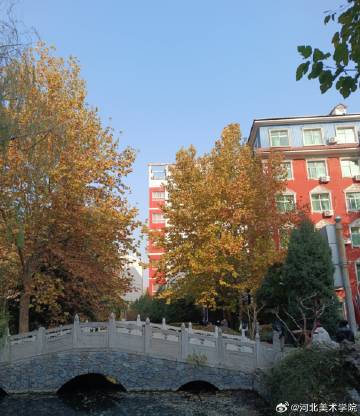 国产精品爽爽久久久久久竹菊