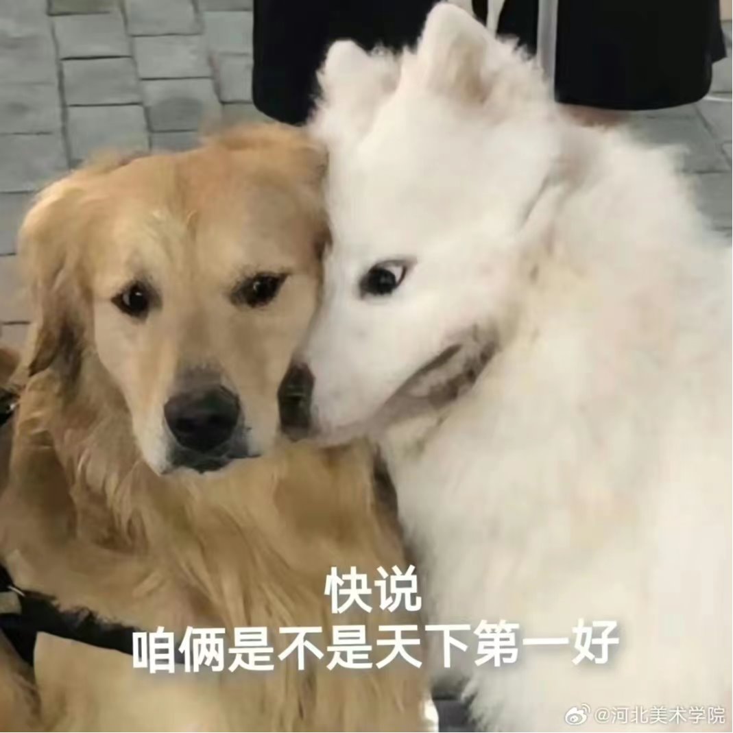 国产精品爽爽久久久久久竹菊