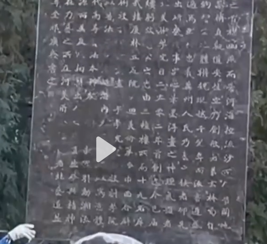 国产精品爽爽久久久久久竹菊