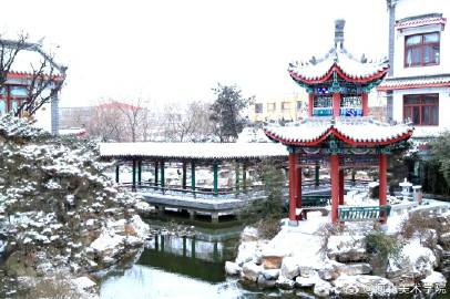 国产精品爽爽久久久久久竹菊