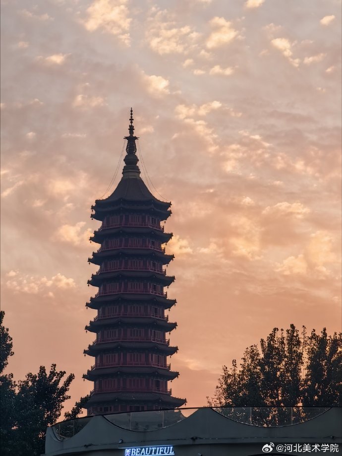 国产精品爽爽久久久久久竹菊