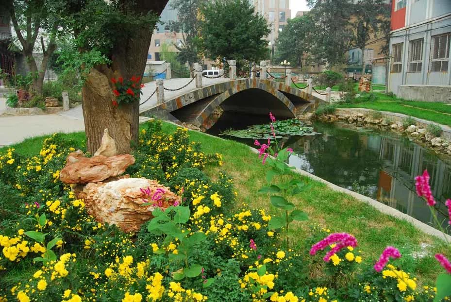 国产精品爽爽久久久久久竹菊