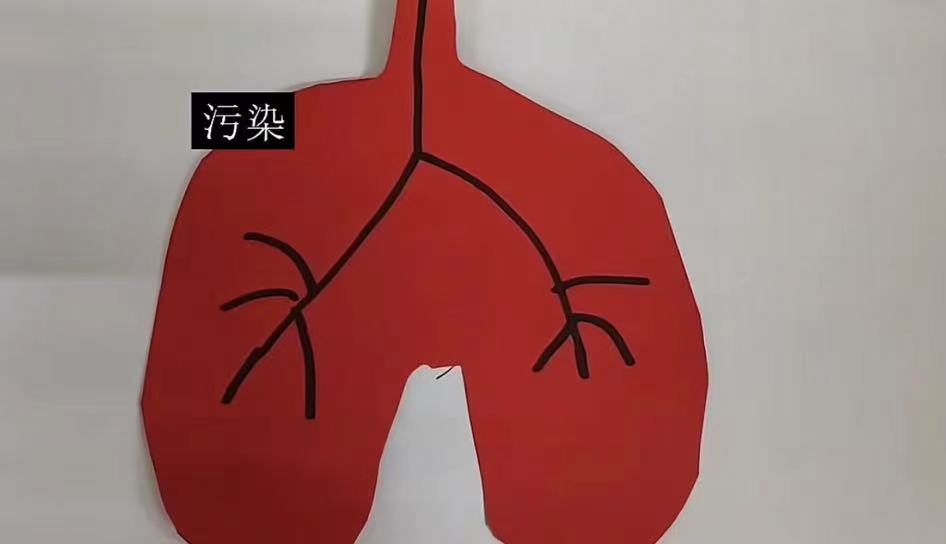 国产精品爽爽久久久久久竹菊