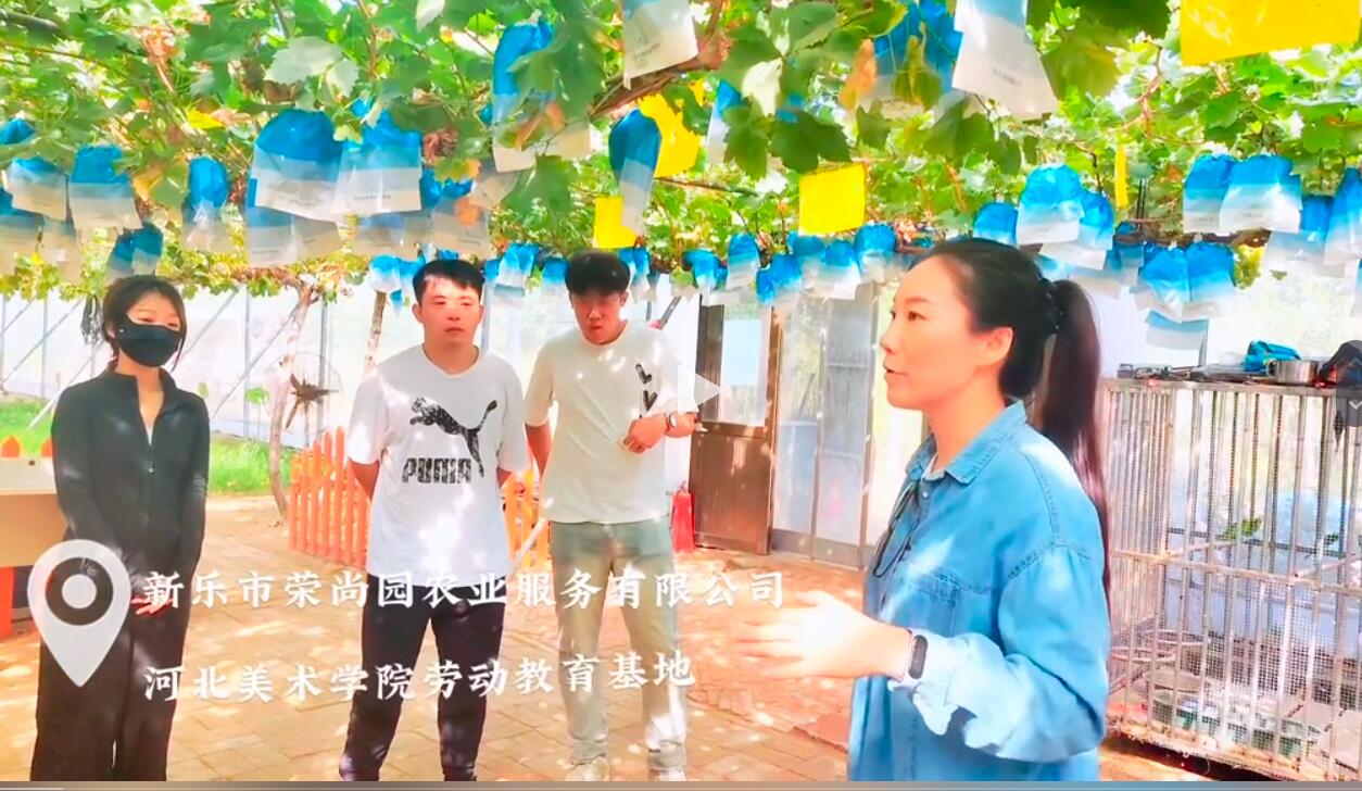 国产精品爽爽久久久久久竹菊