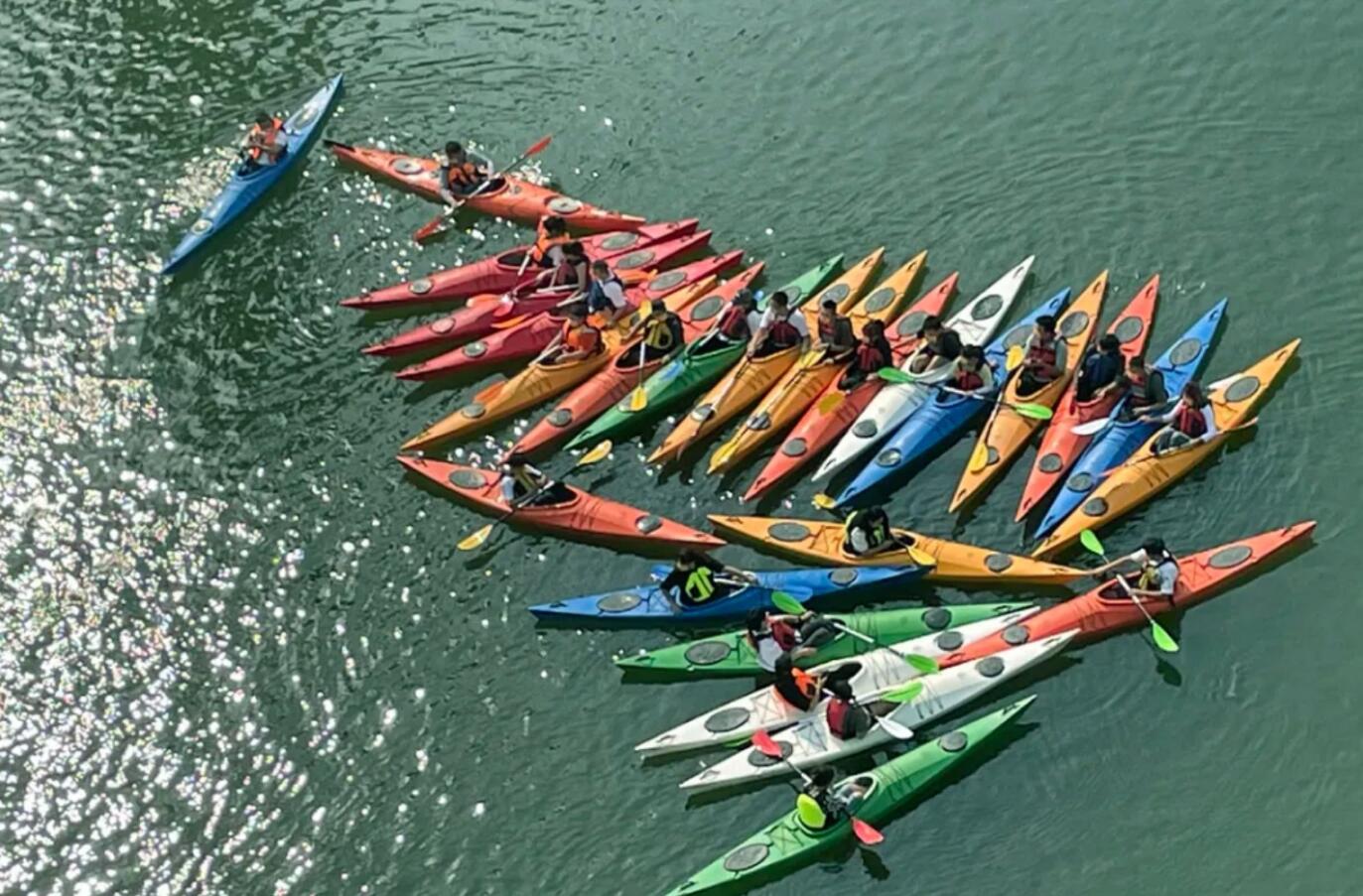 国产精品爽爽久久久久久竹菊