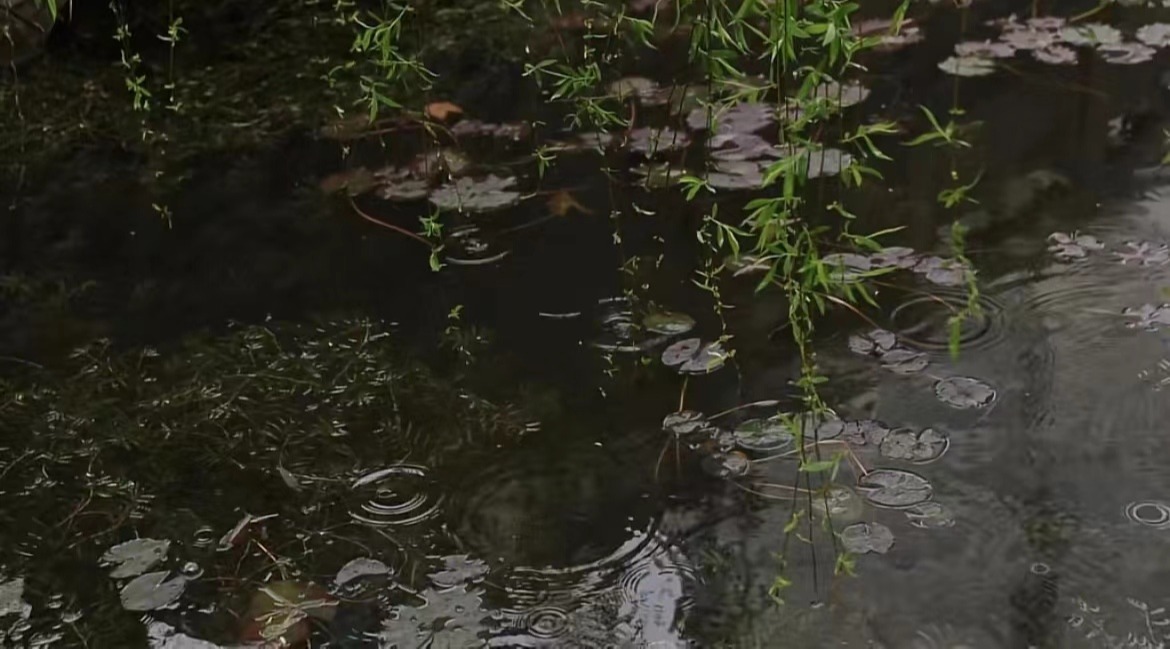 国产精品爽爽久久久久久竹菊