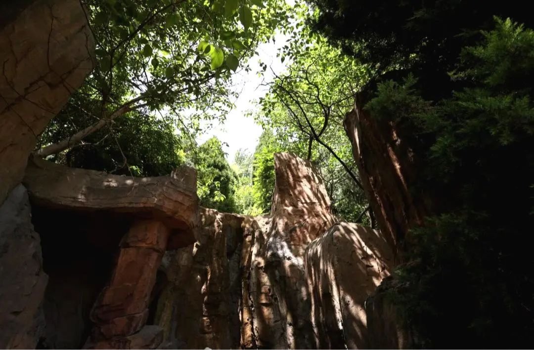 国产精品爽爽久久久久久竹菊