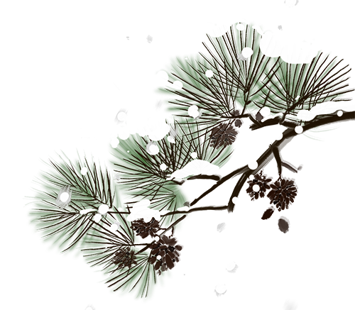 国产精品爽爽久久久久久竹菊