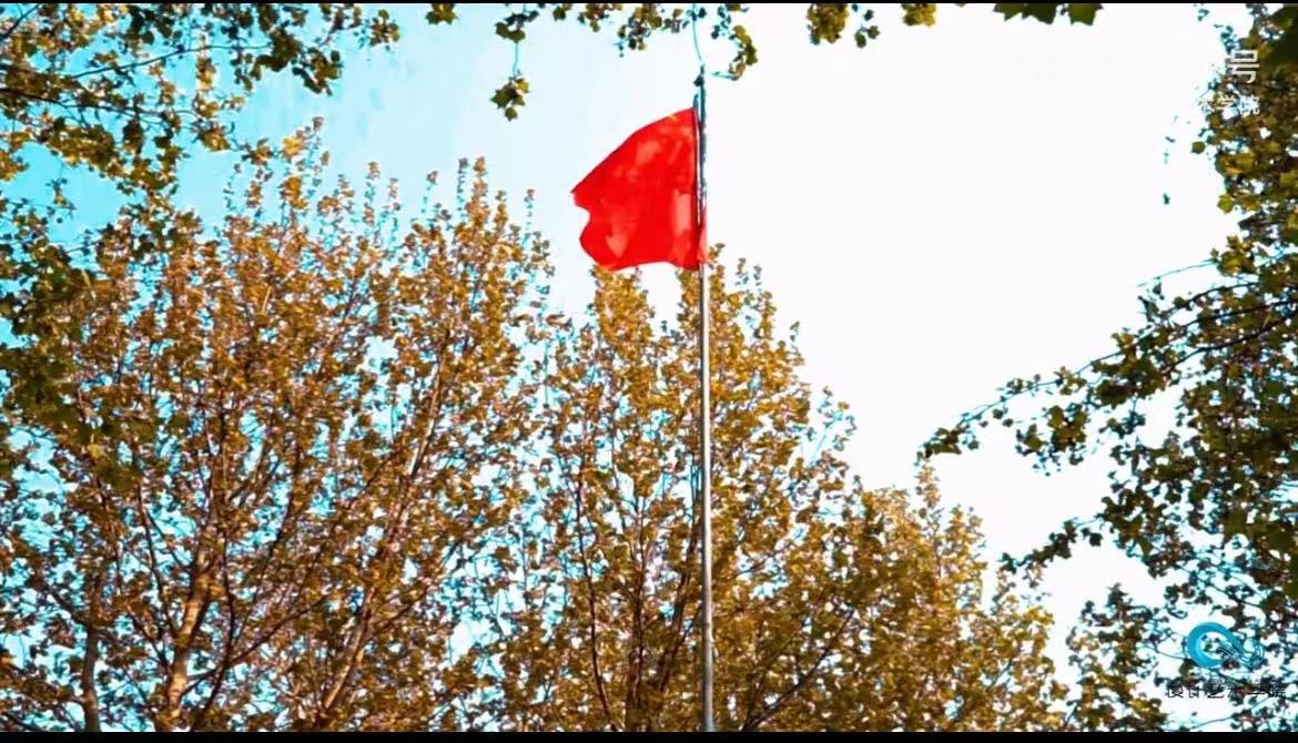 国产精品爽爽久久久久久竹菊