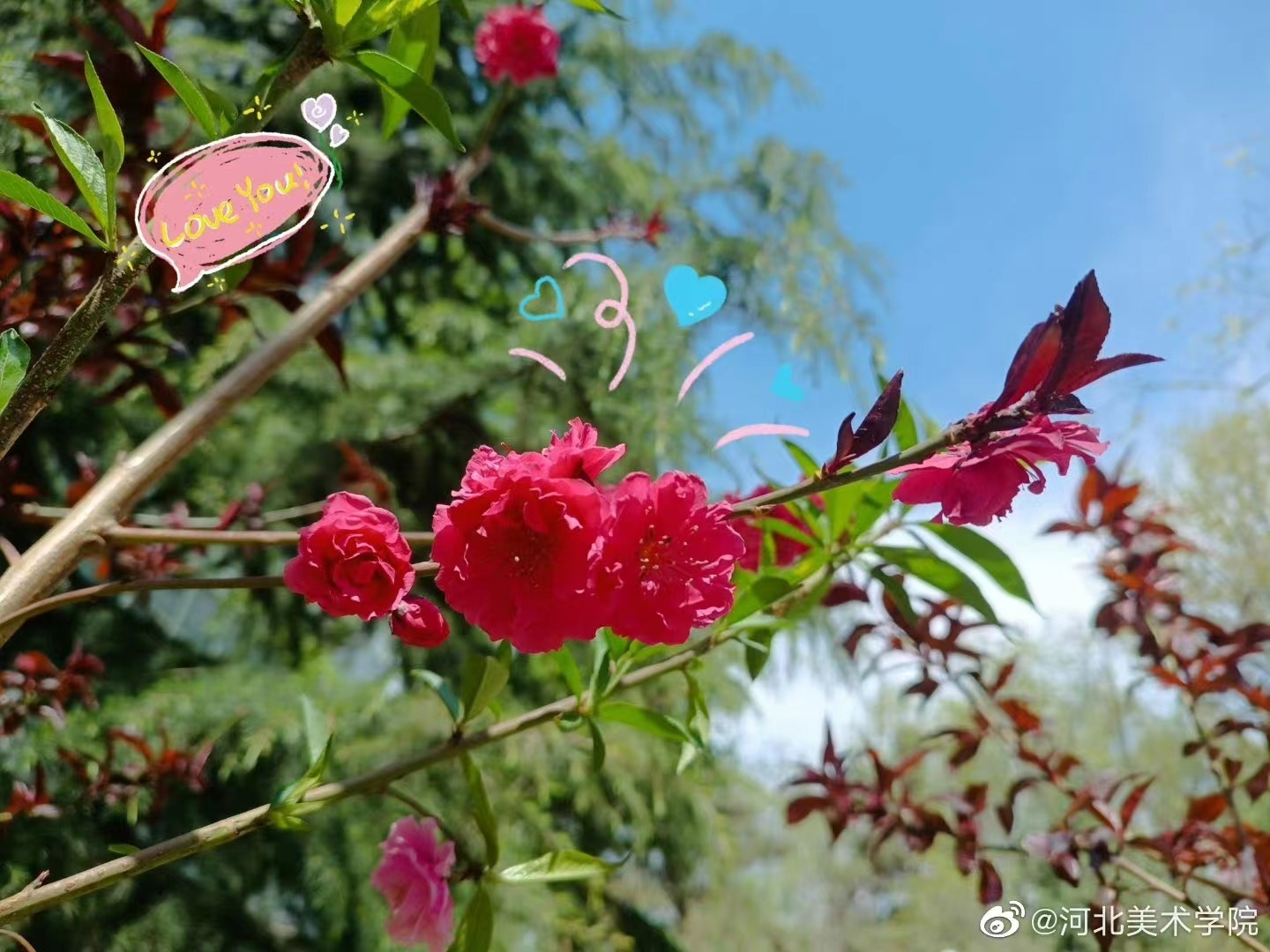 国产精品爽爽久久久久久竹菊