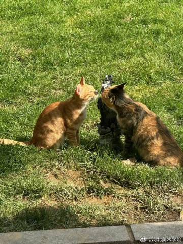 国产精品爽爽久久久久久竹菊