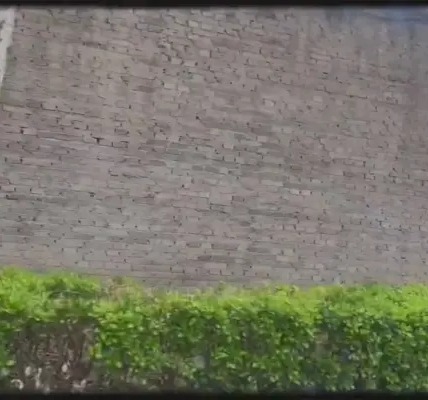 国产精品爽爽久久久久久竹菊