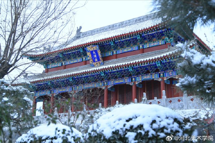 国产精品爽爽久久久久久竹菊