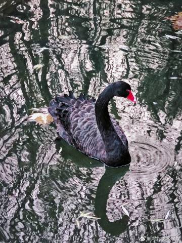 国产精品爽爽久久久久久竹菊