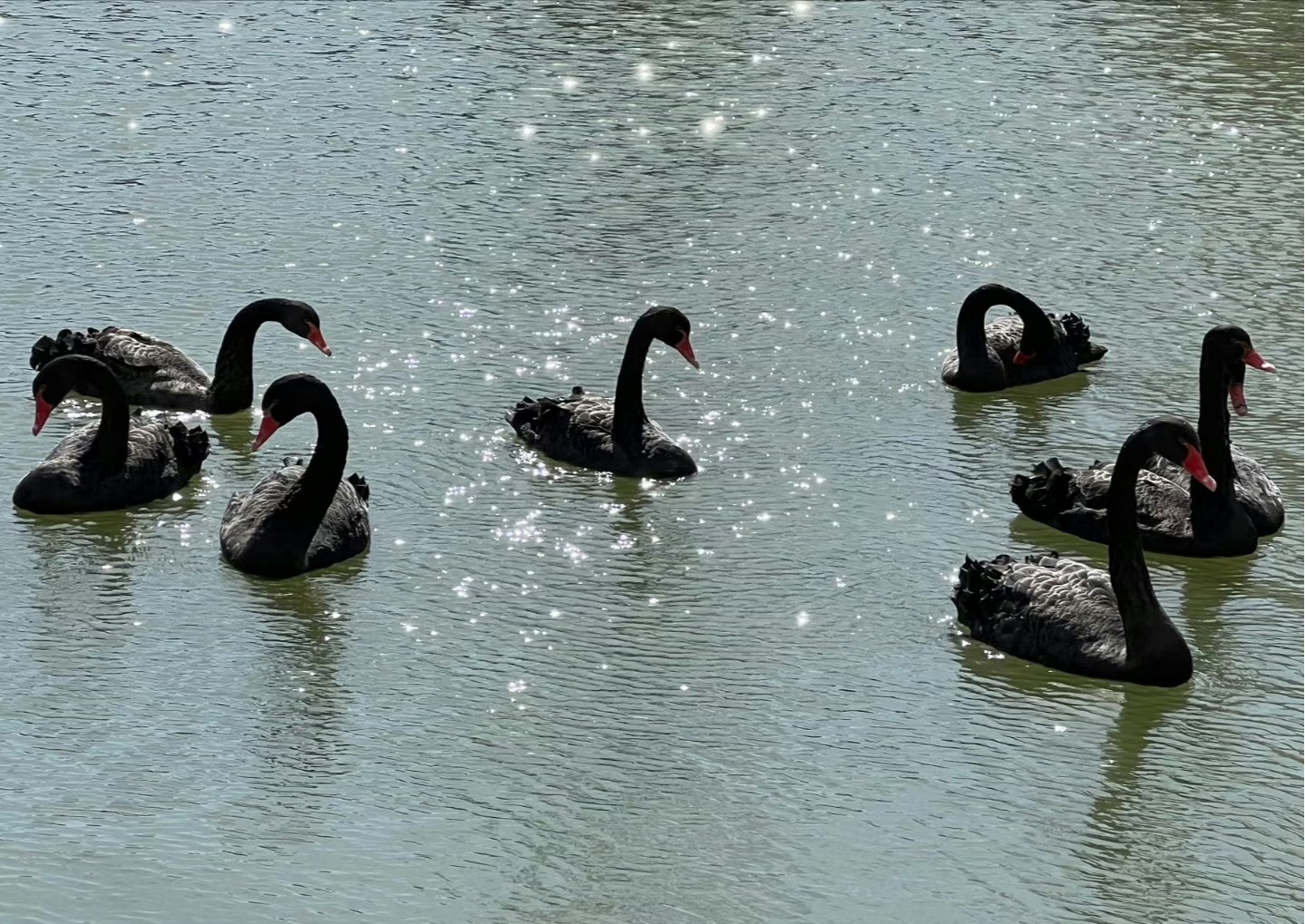 国产精品爽爽久久久久久竹菊