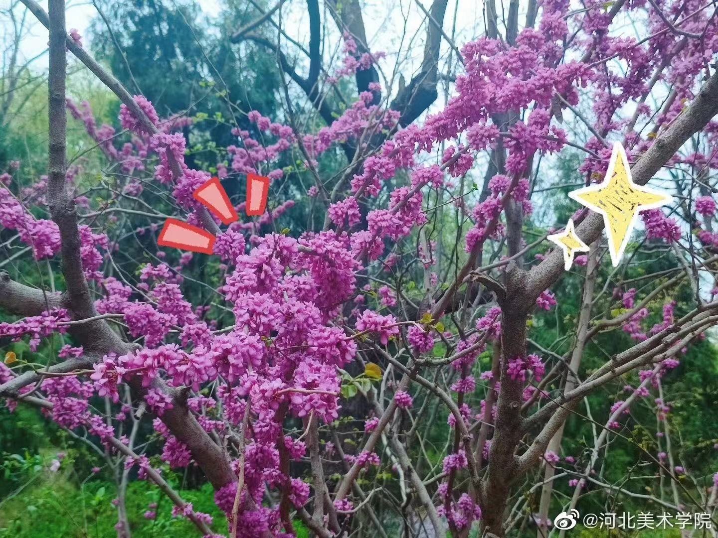 国产精品爽爽久久久久久竹菊