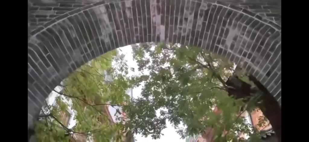 国产精品爽爽久久久久久竹菊