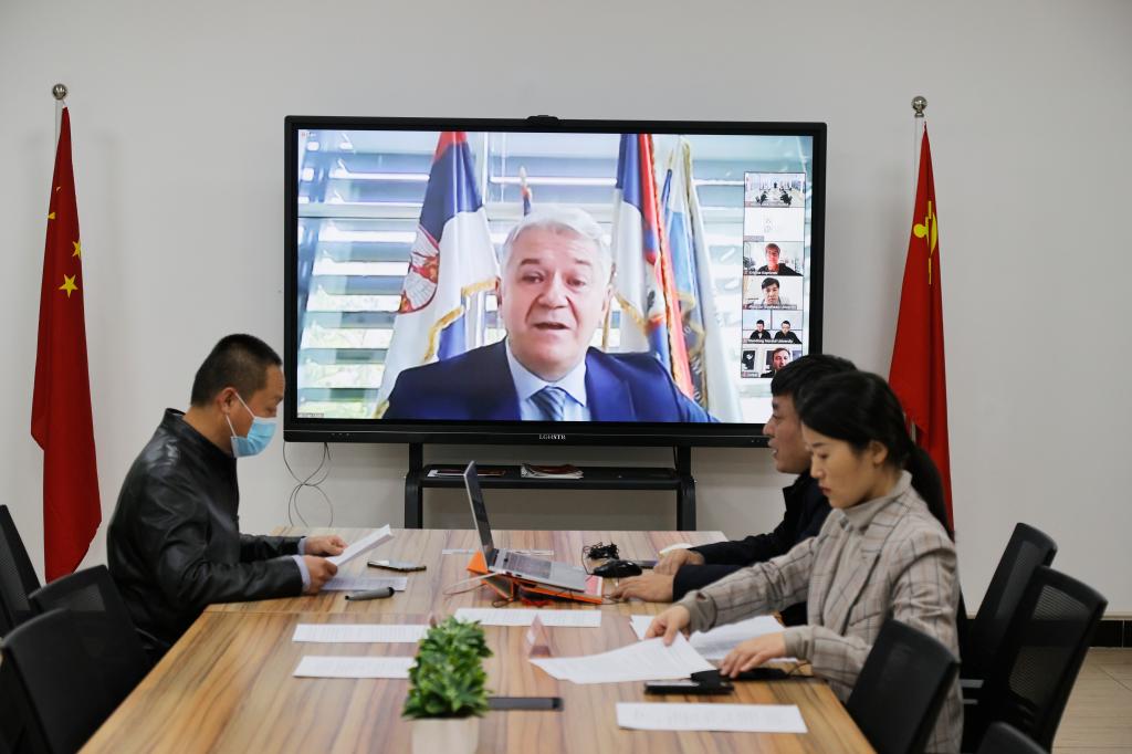 国产精品爽爽久久久久久竹菊