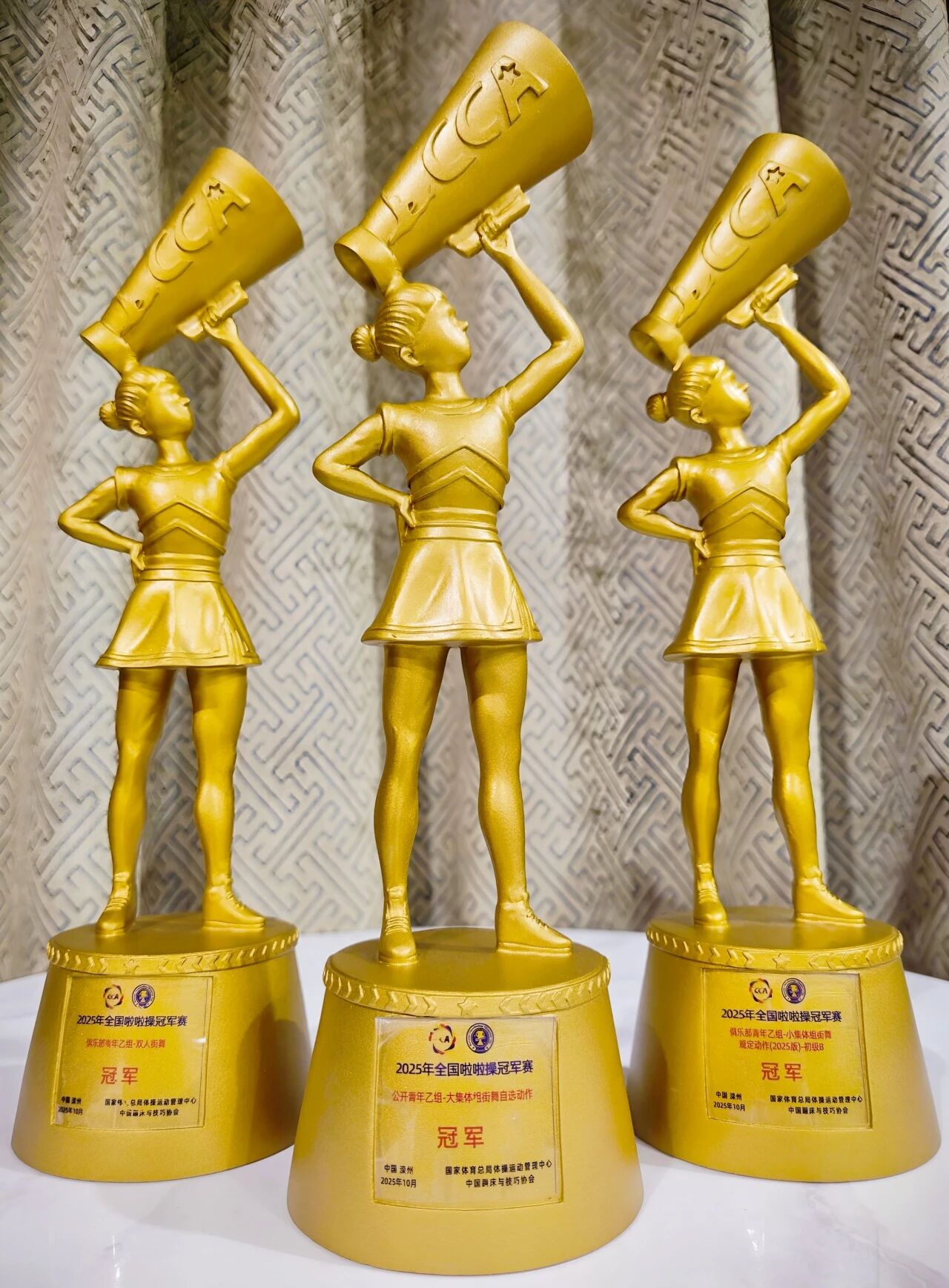 国产精品爽爽久久久久久竹菊