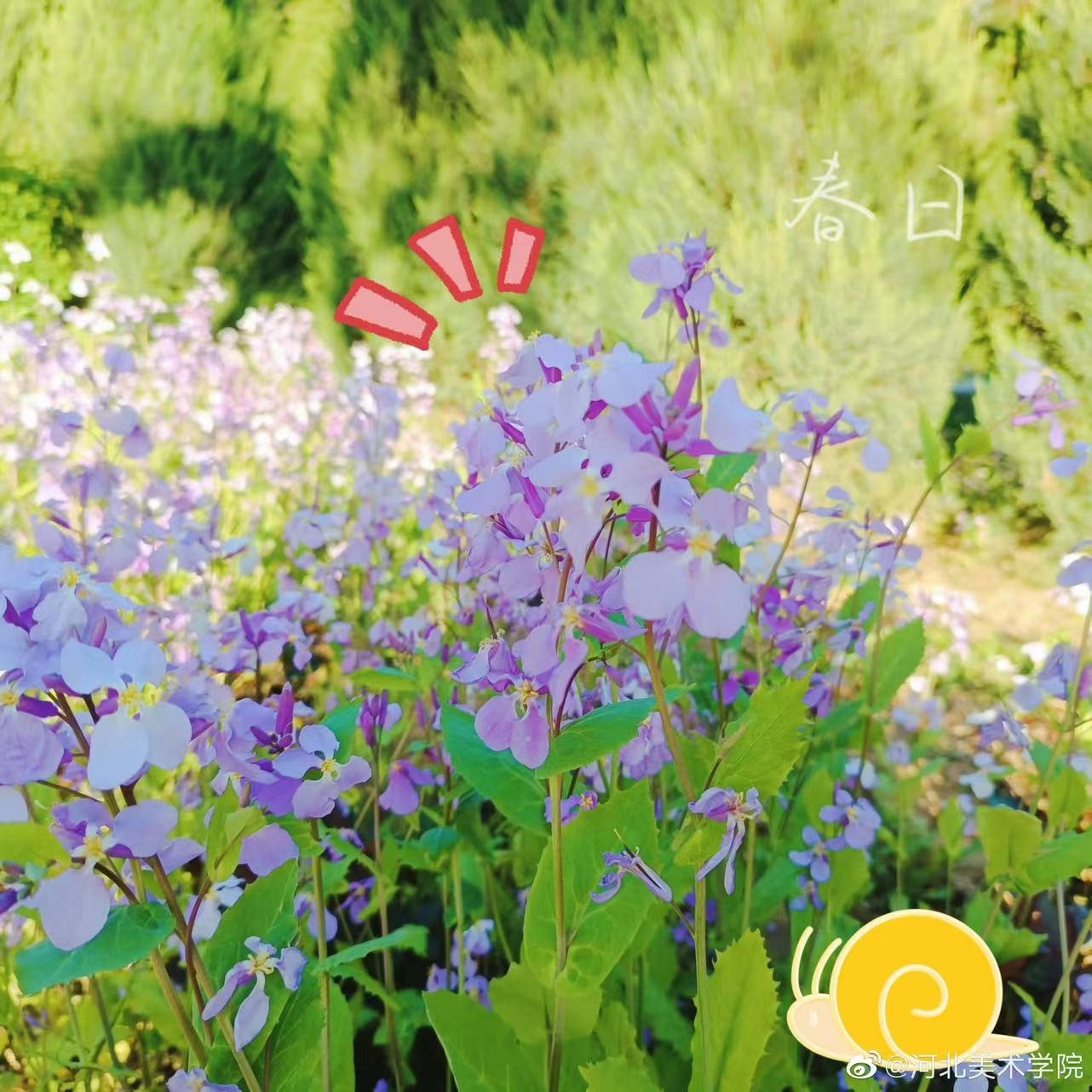 国产精品爽爽久久久久久竹菊