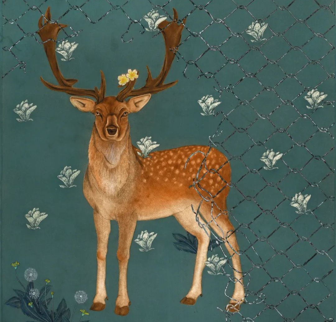 国产精品爽爽久久久久久竹菊