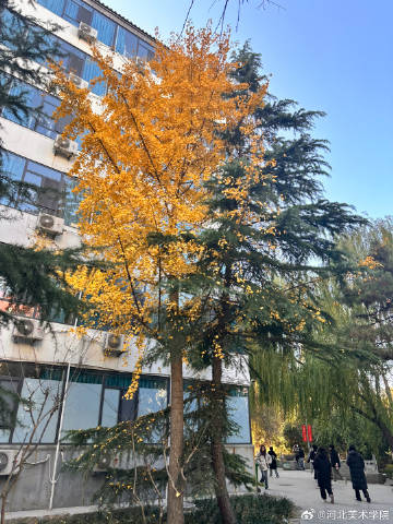 国产精品爽爽久久久久久竹菊