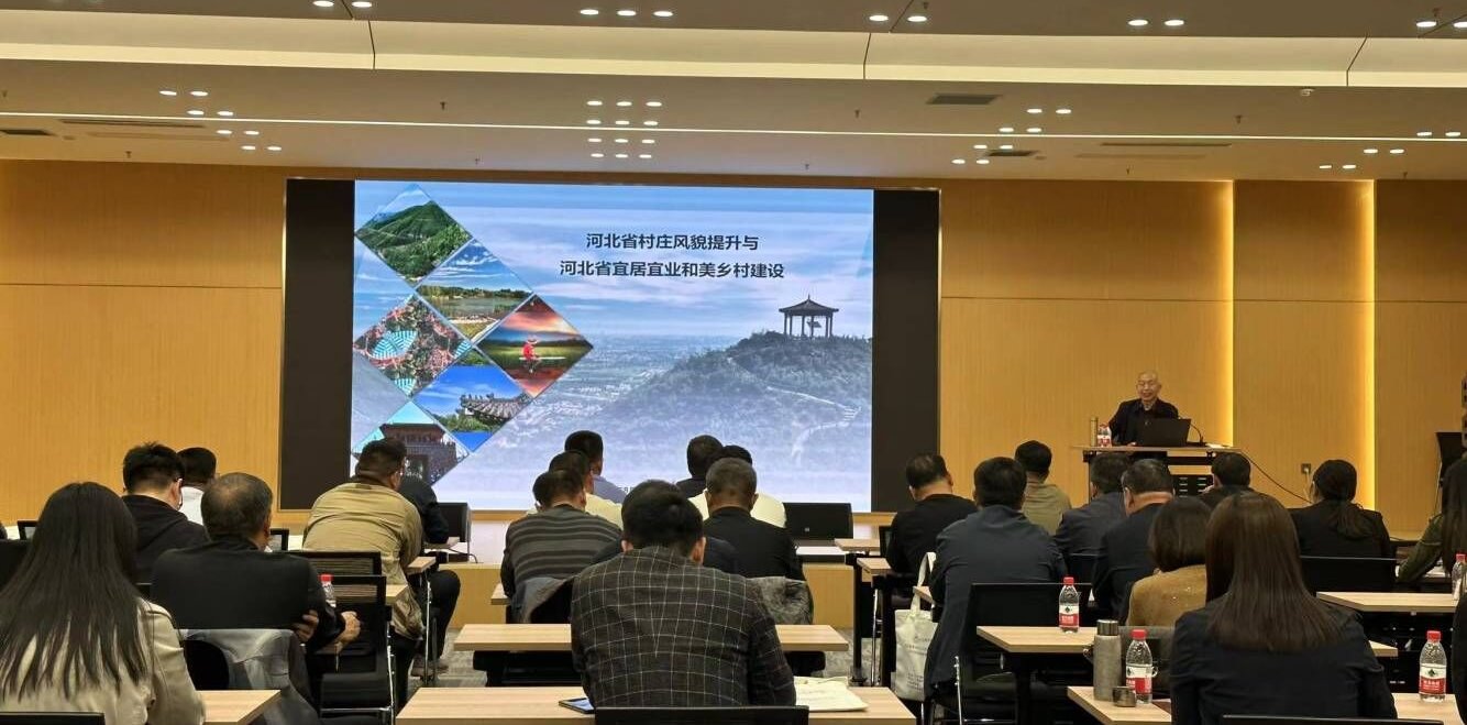 国产精品爽爽久久久久久竹菊