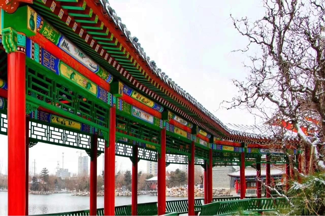 国产精品爽爽久久久久久竹菊