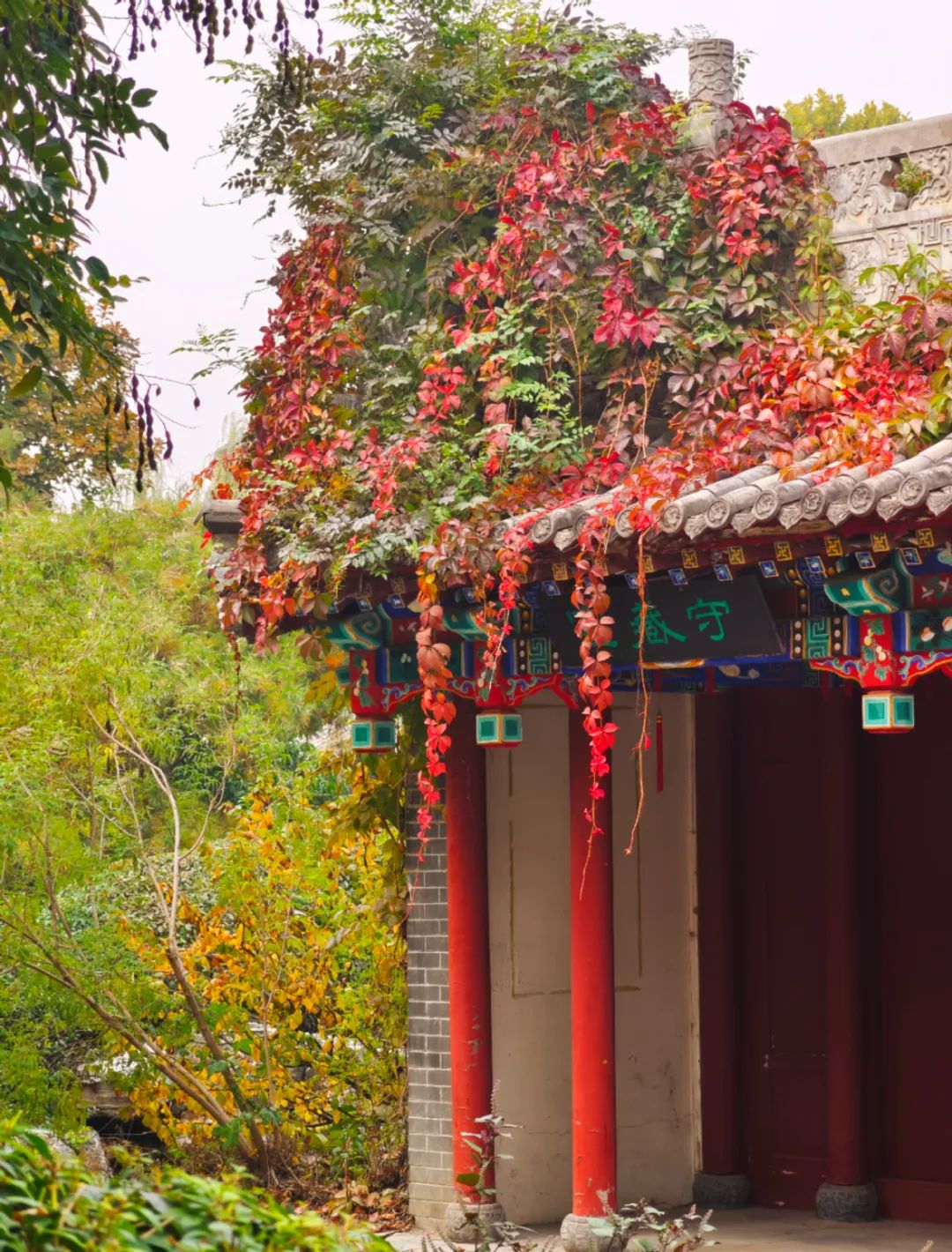 国产精品爽爽久久久久久竹菊