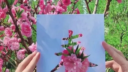 国产精品爽爽久久久久久竹菊