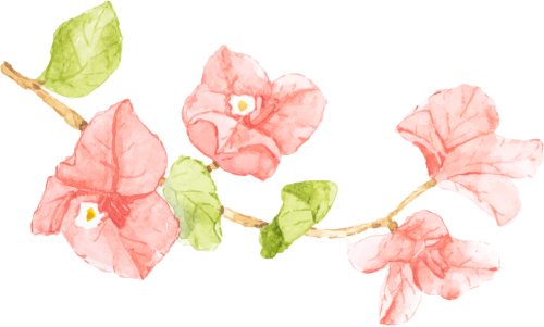 国产精品爽爽久久久久久竹菊