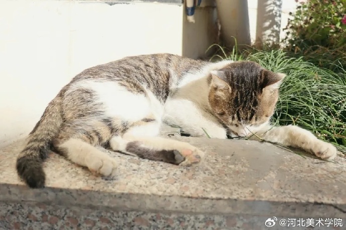 国产精品爽爽久久久久久竹菊