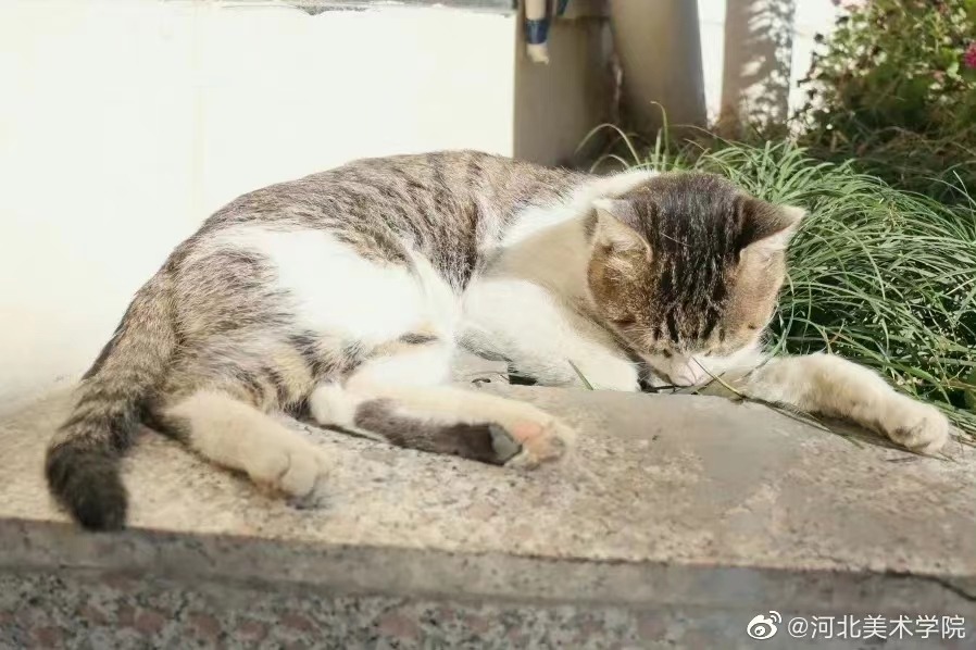 国产精品爽爽久久久久久竹菊