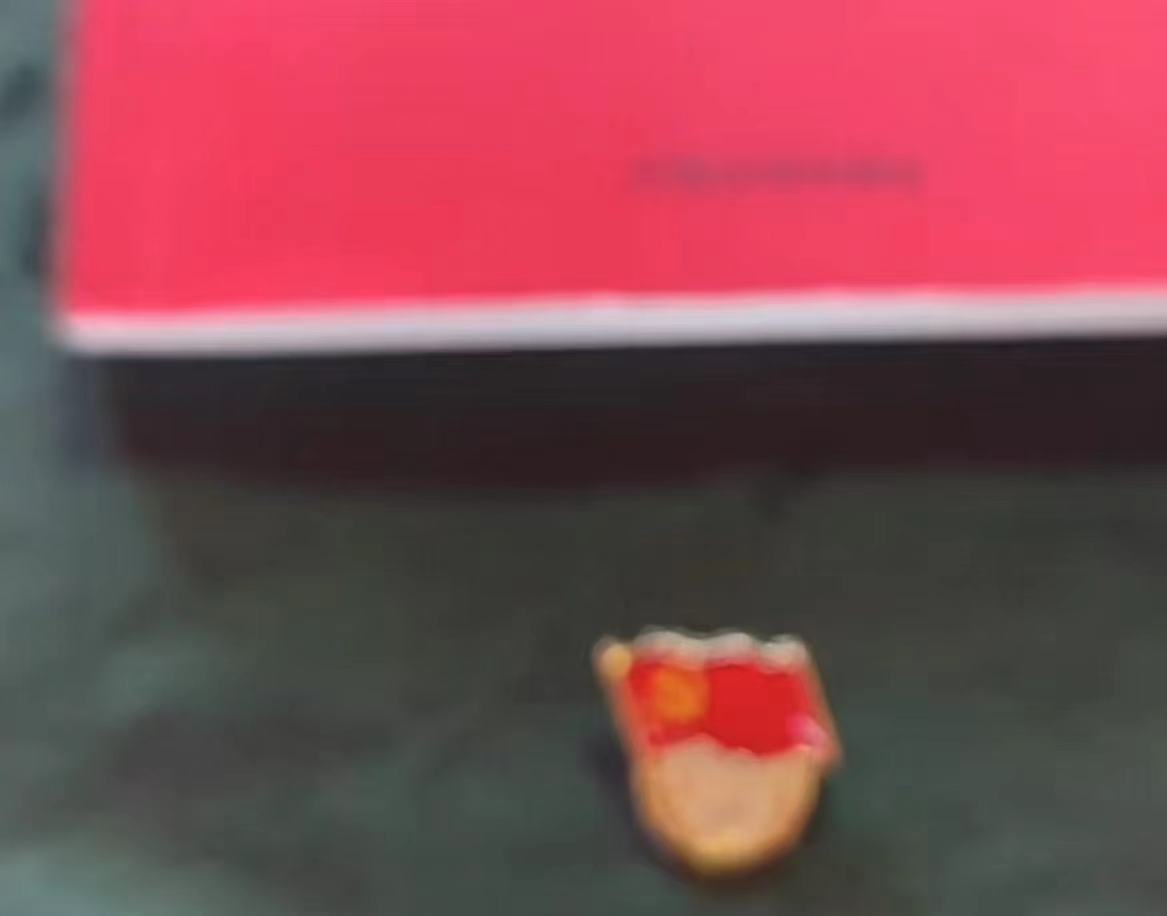 国产精品爽爽久久久久久竹菊