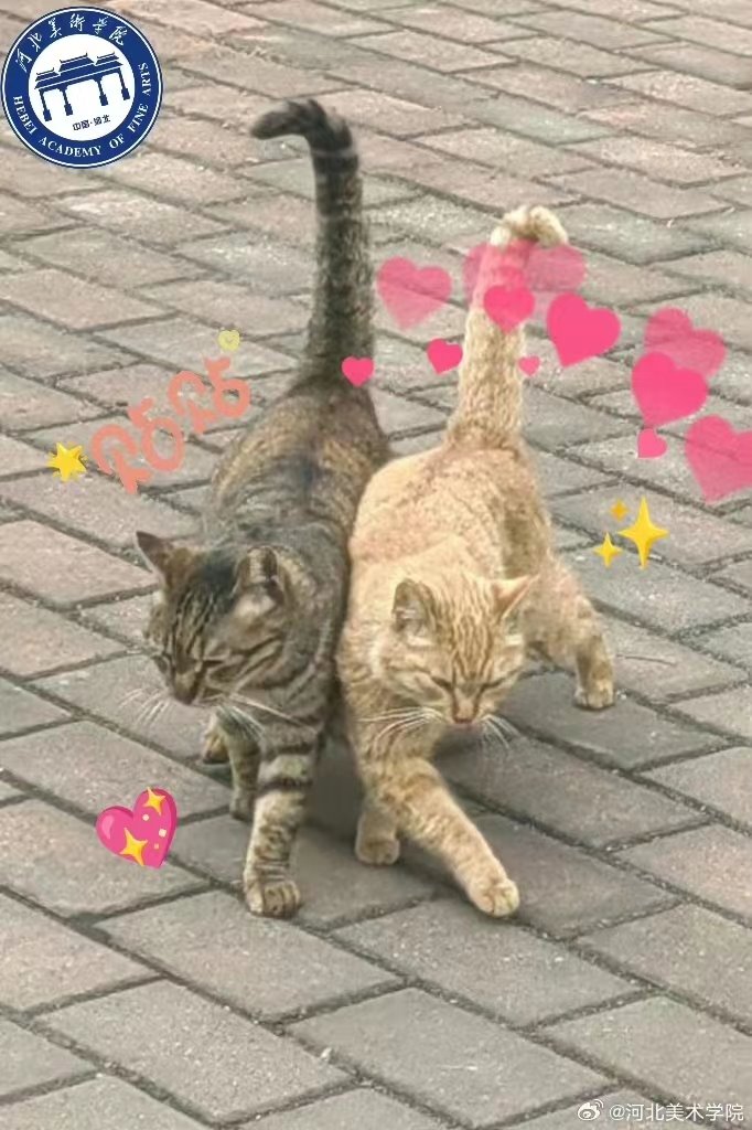 国产精品爽爽久久久久久竹菊