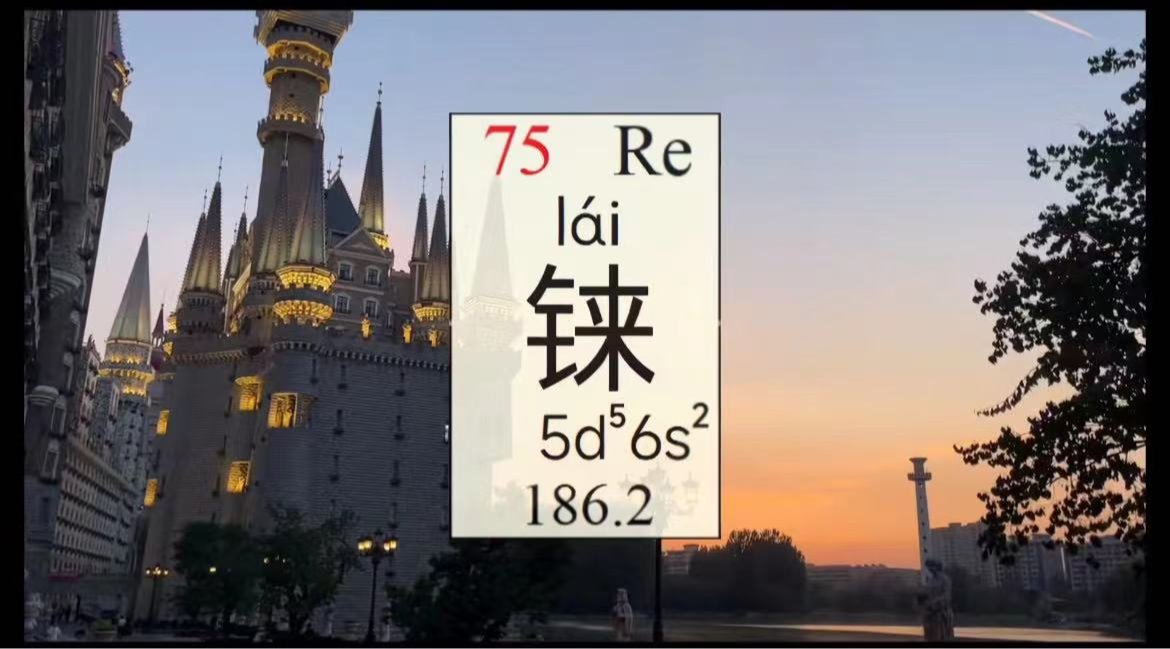 国产精品爽爽久久久久久竹菊