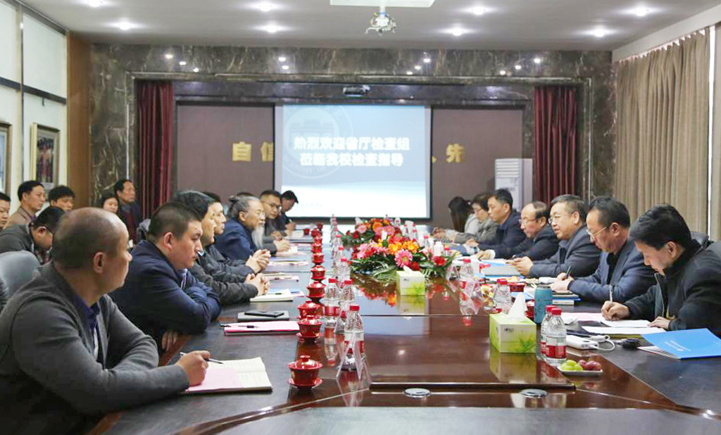 国产精品爽爽久久久久久竹菊