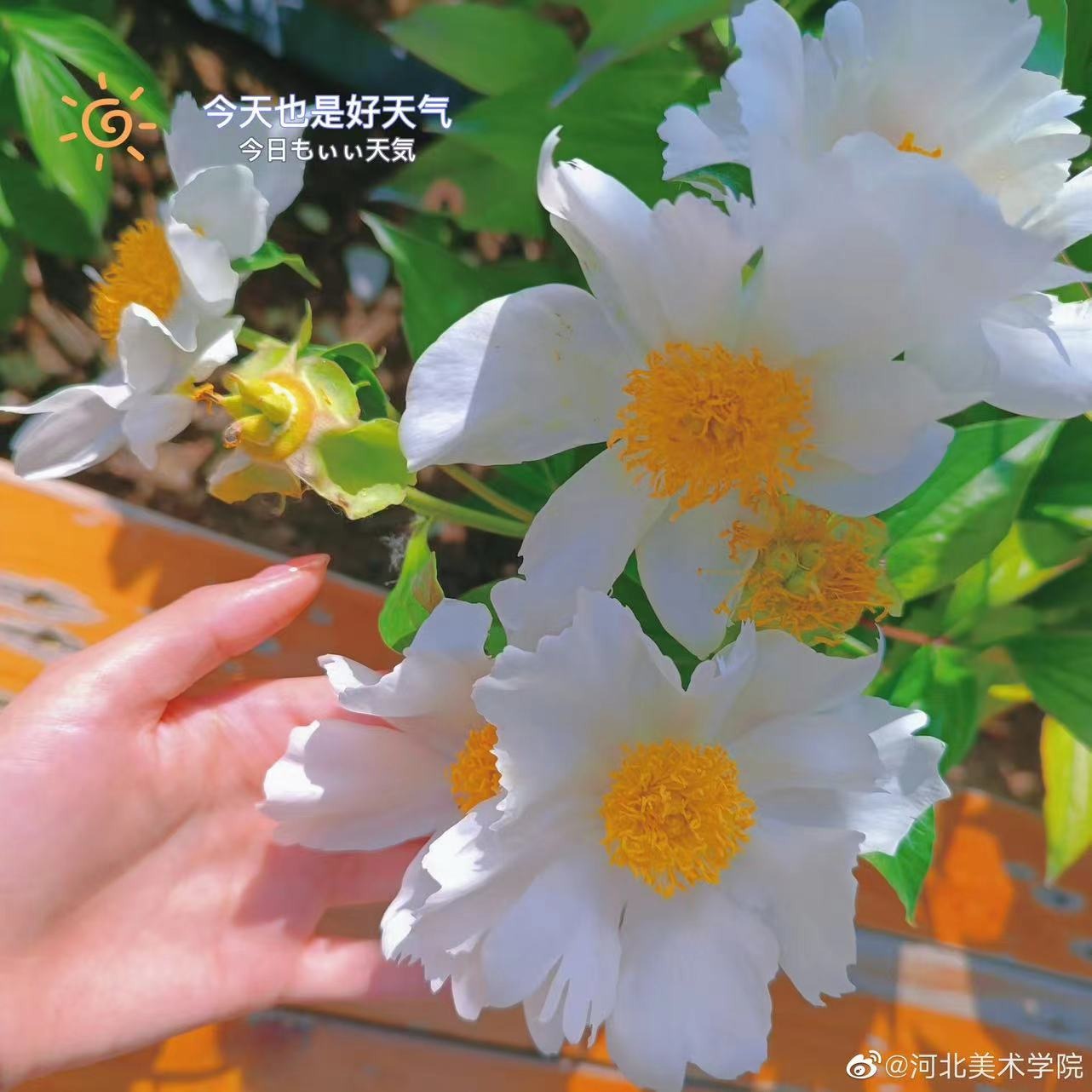 国产精品爽爽久久久久久竹菊